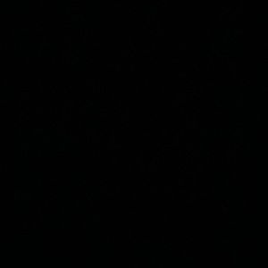 Meet your Posher, Gunnar